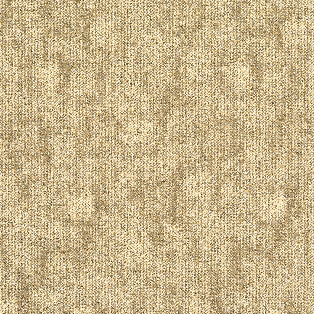 TRACE-238_A