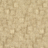 TRACE-238_A