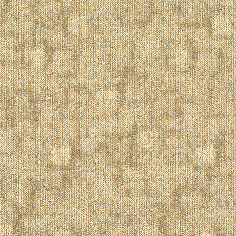 TRACE-238_A