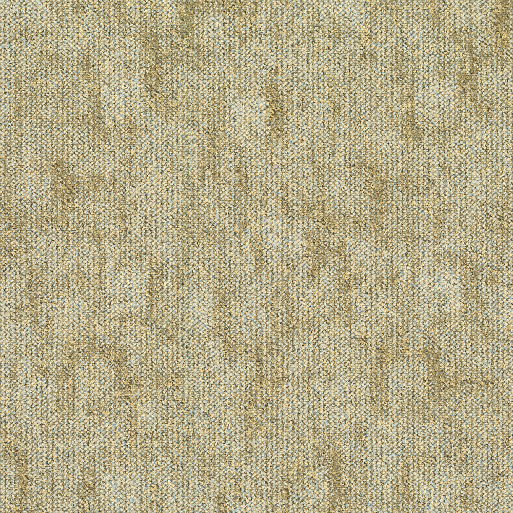 TRACE-263_A