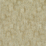 TRACE-263_A
