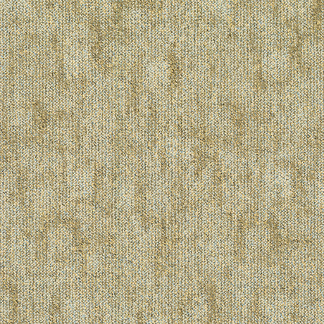 TRACE-263_A