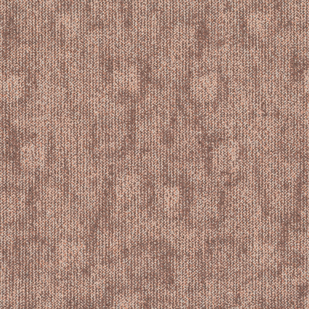 TRACE-344_A