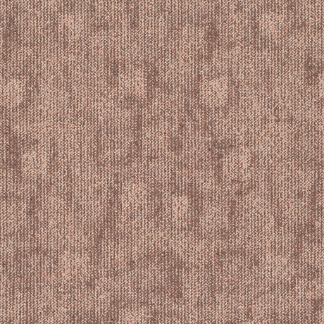 TRACE-344_A