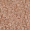 TRACE-356_A