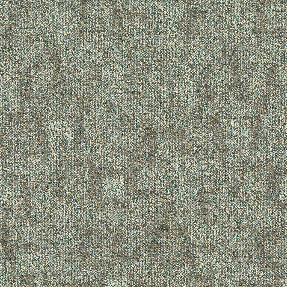 TRACE-697_A