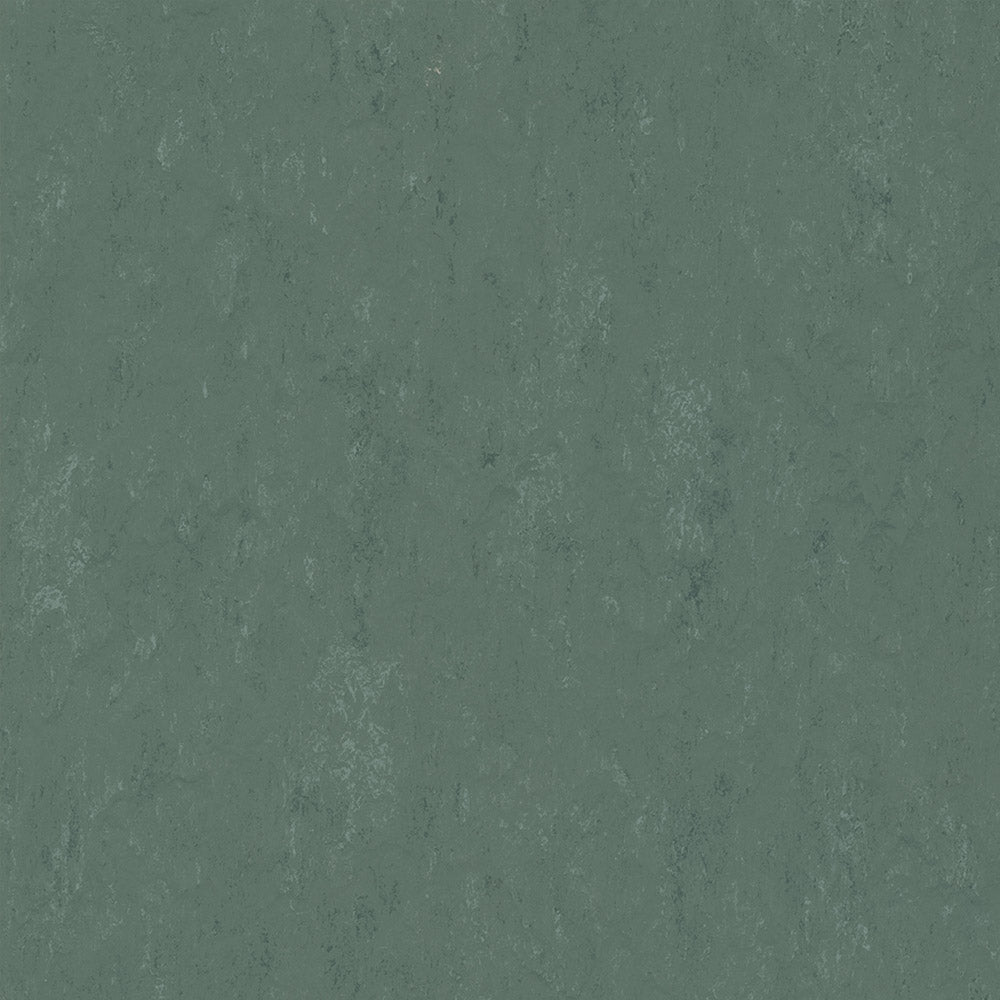 Forbo Marmoleum Modular Accent