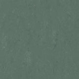 Forbo Marmoleum Modular Accent