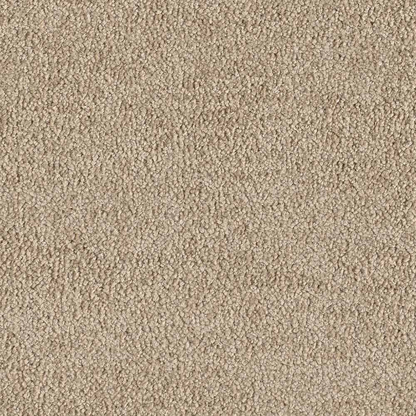 Teddy Beige