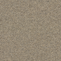 Forbo Tessera Chroma Thatch 3610 Carpet Tiles