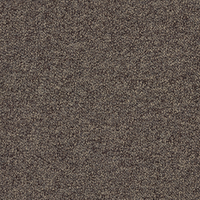 Forbo Tessera Chroma Treacle 3611 Carpet Tiles