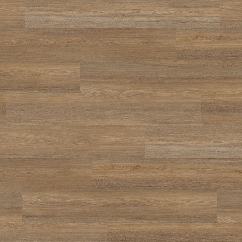 Polyflor Expona EnCore Rigid LOC Click  9036 Treehouse Oak