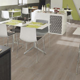 Tarkett Essence 55 Gluedown Tribe Oak Grey 260053008