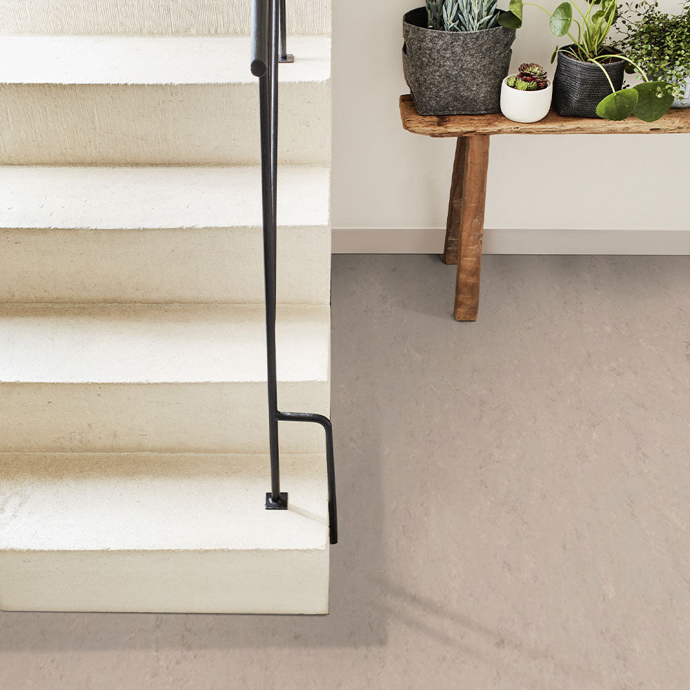Tarkett Veneto xf2 Linoleum
