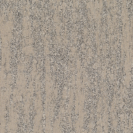 WILLOW_180_A_1