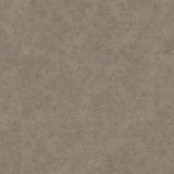 Polyflor Expona Control Gluedown  - Warm Grey Concrete 7504