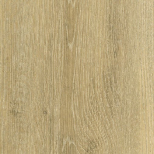 White Oak Plaster WHI271