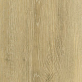 White Oak Plaster WHI271