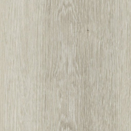 White Oak Putty WHI144