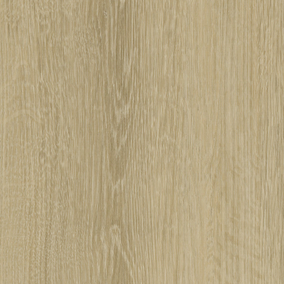 White Oak Varnish WHI204