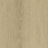 White Oak Varnish WHI204