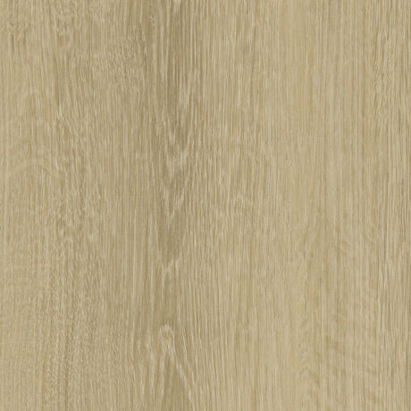 White Oak Varnish WHI204