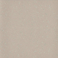 Altro Aquarius Gosling Sheet Vinyl