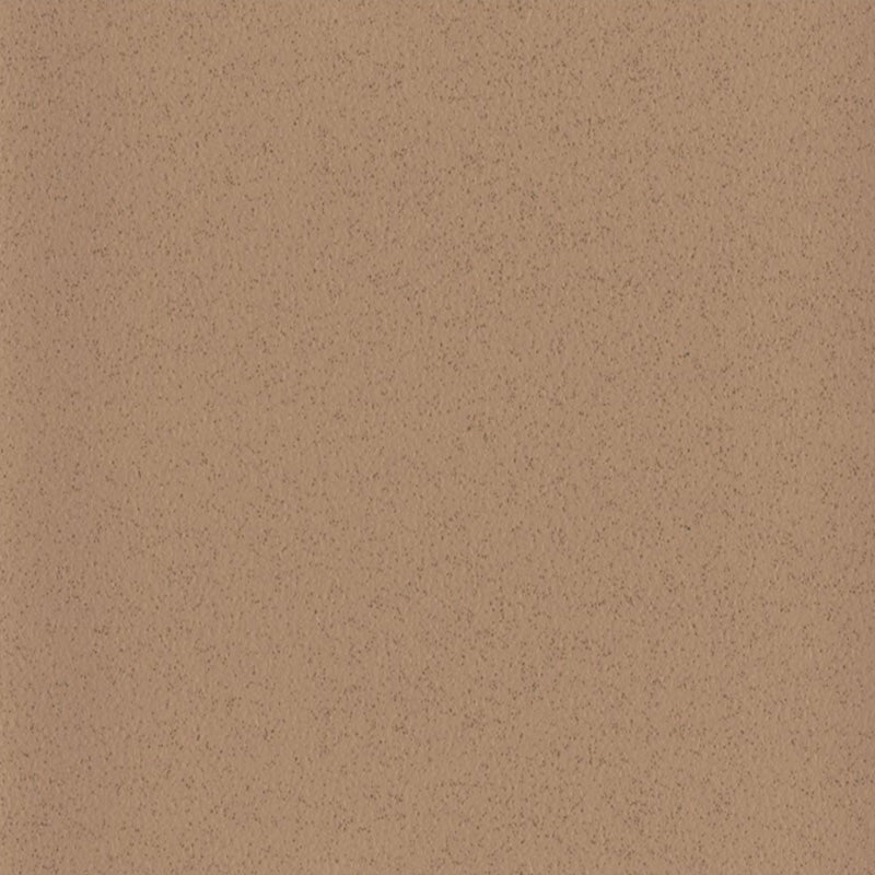 Altro Aquarius Iguana Sheet Vinyl from DCTUK