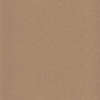 Altro Aquarius Iguana Sheet Vinyl