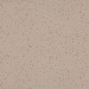 Altro Aquarius Terrapin Sheet Vinyl from DCTUK