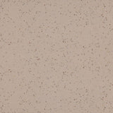 Altro Aquarius Terrapin Sheet Vinyl from DCTUK