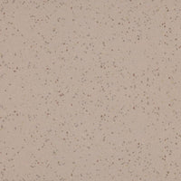 Altro Aquarius Terrapin Sheet Vinyl