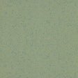 Altro Aquarius Treefrog Sheet Vinyl from DCTUK