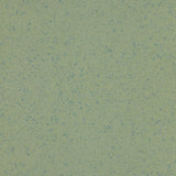 Altro Aquarius Treefrog Sheet Vinyl from DCTUK