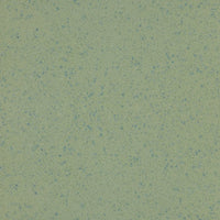 Altro Aquarius Treefrog Sheet Vinyl