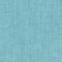 Altro Orchestra Banjo Sheet Vinyl