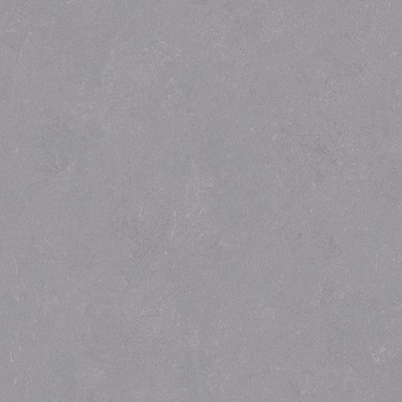 Altro Orchestra Chant Sheet Vinyl - DCTUK