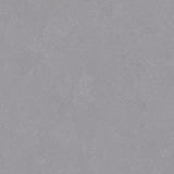 Altro Orchestra Chant Sheet Vinyl - DCTUK