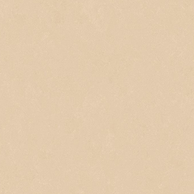 Altro Orchestra Classical Sheet Vinyl - DCTUK