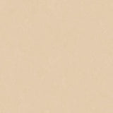 Altro Orchestra Classical Sheet Vinyl - DCTUK