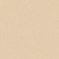 Altro Orchestra Classical Sheet Vinyl