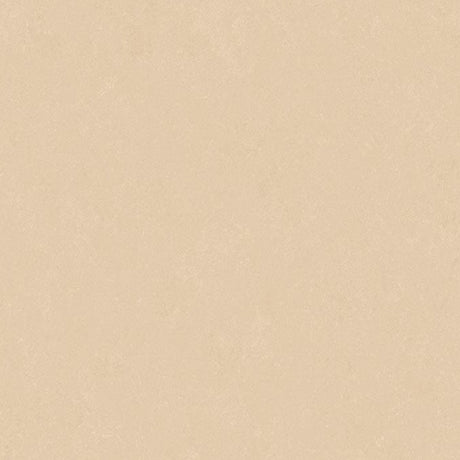 Altro Orchestra Classical Sheet Vinyl - DCTUK