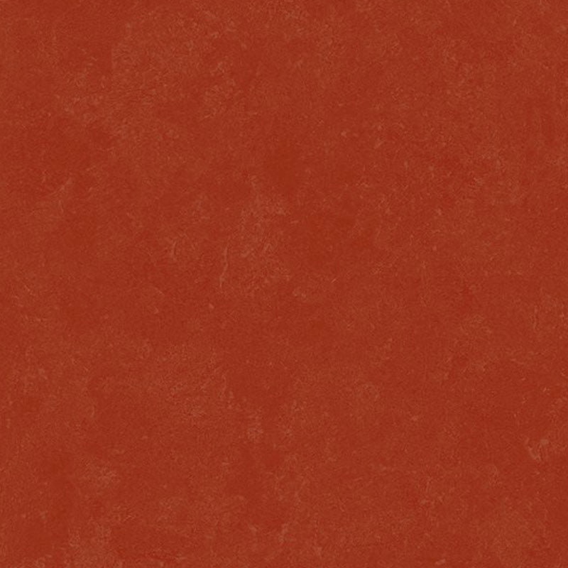 Altro Orchestra Flamenco Sheet Vinyl - DCTUK