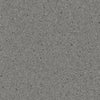 Altro Orchestra Flute Sheet Vinyl - DCTUK