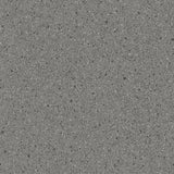 Altro Orchestra Flute Sheet Vinyl - DCTUK