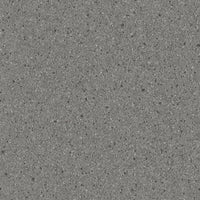 Altro Orchestra Flute Sheet Vinyl