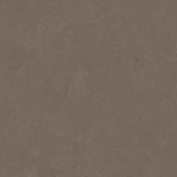 Altro Orchestra Folk Sheet Vinyl - DCTUK