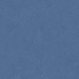 Altro Orchestra Gospel Sheet Vinyl - DCTUK