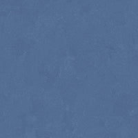 Altro Orchestra Gospel Sheet Vinyl