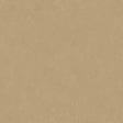 Altro Orchestra Latin Sheet Vinyl - DCTUK